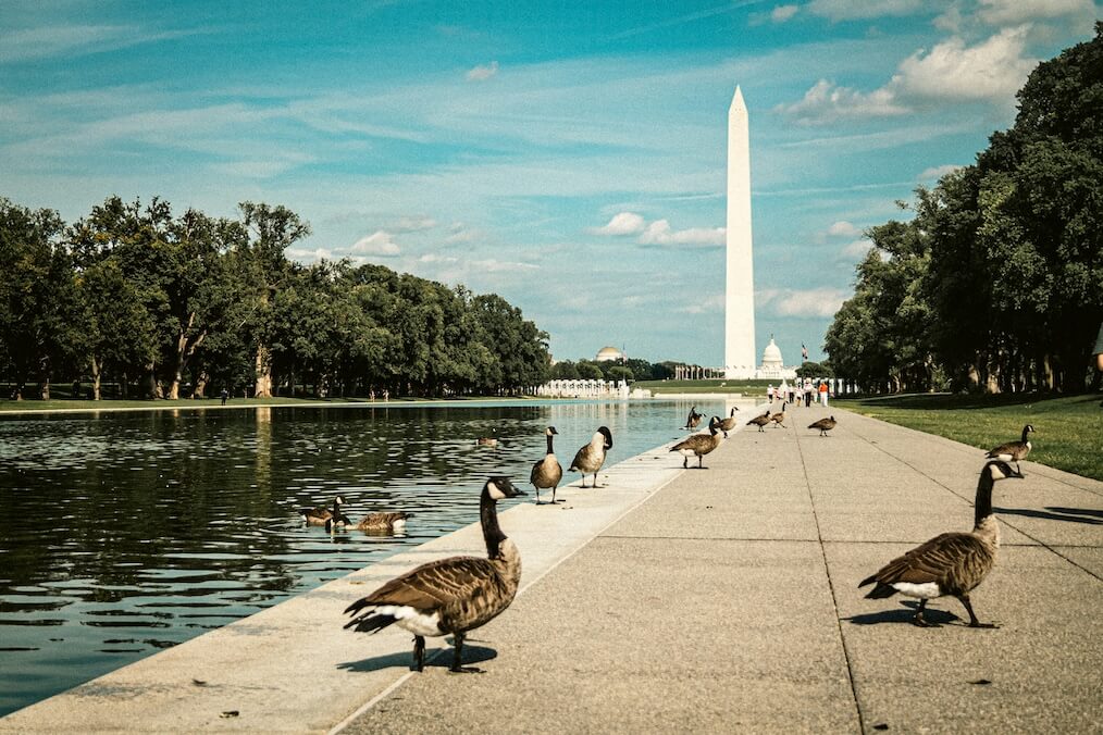 Best Cities to Visit in USA