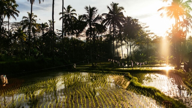 trip to Bali Indonesia